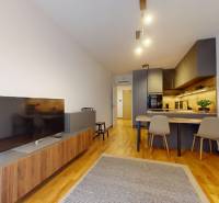 METROPOLIS I Nový Luxusný 2i byt s predzáhradkou I - Obývacia izba v 2-izbovom byte s televízorom, kuchynským kútom a podlahou s dreveným dekorom.