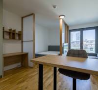 REZERVOVANÉ I METROPOLIS I Luxusný 1i byt I Staré Mesto - 1-izbový byt s podlahou s dreveným dekorom, pracovným stolom a veľkým oknom.