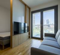 REZERVOVANÉ I METROPOLIS I Luxusný 1i byt I Staré Mesto - 1-izbový byt s podlahou s dreveným dekorom, oddelenou posteľou, sedačkou a veľkým oknom.