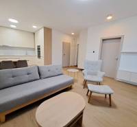 Prenájom: Lukratívny 2-izbový byt v Poprade na Novom nábreží - Štýlový obývací priestor v 2-izbovom byte s podlahou s dreveným dekorom.