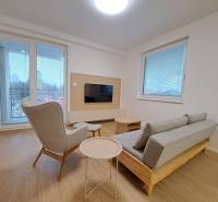 Prenájom: Lukratívny 2-izbový byt v Poprade na Novom nábreží - Obývačka v 2-izbovom byte s podlahou s dreveným dekorom, sivou sedačkou a pohodlným kreslom.