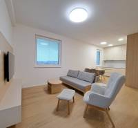 Prenájom: Lukratívny 2-izbový byt v Poprade na Novom nábreží - Obývačka v 2-izbovom byte s podlahou s dreveným dekorom a pohodlným sedením.