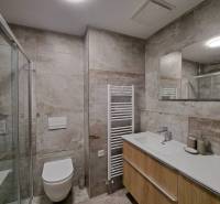 Prenájom: Lukratívny 2-izbový byt v Poprade na Novom nábreží - Kúpeľňa v 2-izbovom byte s modernou sanitou a stenami so šedým vzorom.