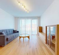 | Prémiové bývanie v ZWIRNe I Pekný zariadený 2i byt I  - Obývacia izba s pohovkou, nábytkom z drevom, podlaha s dreveným dekorom v 2-izbovom byte.