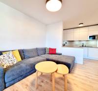 Pekný a moderný 3-izbový byt I Arboria Trnava - Obývací priestor v 3-izbovom byte so sivou sedačkou a kuchyňou, podlaha s dreveným dekorom.