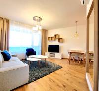 Posledný investičný krásny 2-izbový byt | 55 m² | RÍNOK RAČA - Obývačka v 2-izbovom byte s pohodlným nábytkom a podlahou s dreveným dekorom.