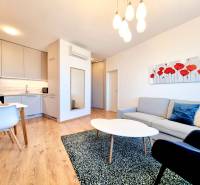 Posledný investičný krásny 2-izbový byt | 55 m² | RÍNOK RAČA - Svetlá obývačka s podlahou s dreveným dekorom, pohodlným sedením a elegantným umením na stene.