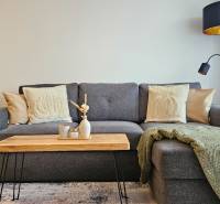 Moderný unikát - 1,5- izb. byt s 2 loggiami na prenájom (Nad jazerom) - Štýlová obývacia miestnosť v 1-izbovom byte so sivou sedačkou a dreveným stolíkom.