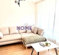 MODERNE A PRAKTICKY ZARIADENÝ 3 IZB. BYT V NOVOSTAVBE NA BOROCH. - Obývačka v 3-izbovom byte s pohovkou, stolíkom a podlahou s dreveným dekorom.