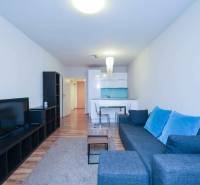 Predaj útulný 2 izbový byt, novostavba, super lokalita Jégeho ulica. - Obývacia izba s pohovkou a TV v 2-izbovom byte, podlaha s dreveným dekorom.