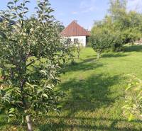 Ponúkame na predaj záhradný domček - Jasová - Záhrada rodinného domu v Jasovej s ovocnými stromami a trávnatým dvorom.