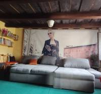 Ponúkame na predaj záhradný domček - Jasová - Obývacia izba v rodinnom dome s pohovkou, knižinicou a plagátom na stene.