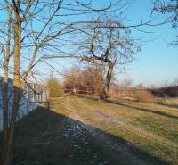 Pozemok pre rodinný dvojdom v centre Galanty – Hody - Pozemky na bývanie v Galante na Hodskej ulici, zasnežená krajina so stromami.