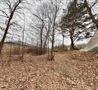 Predaj: Stavebný pozemok 400m2 v Bytči vo vilovej štvrti (MO) - Pozemok na bývanie vo Veľkej Bytči je pokrytý lístím a obklopený stromami.