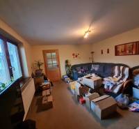 4.izb Rodinný Dom Centrum Chtelnica - Obývačka v rodinnom dome s kartónmi, pohovkou a dekoráciami na stenách.