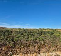 Stavebný pozemok, Velčice, 981 m2, okr. Zlaté Moravce - Pozemky - bývanie v Velčiciach s trávnatým porastom pod jasnou modrou oblohou.