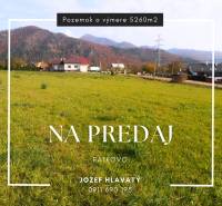 RATKOVO - pozemok 5260 m2,okr. Martin - Zelený pozemok na predaj, 5260 m2, ideálny pre bývanie v obci Ratkovo.