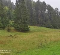 ČREMOŠNÉ-chalupa na pozemku 700m2   - Lúka a stromy vytvárajú harmonický pohľad na prírodný kraj, vhodný pre rodinný dom.