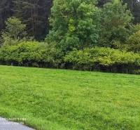 ČREMOŠNÉ-chalupa na pozemku 700m2   - Zeleň pri lese s hustými kríkmi na okraji. Rodinný dom v prírodnej lokalite.