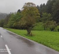 ČREMOŠNÉ-chalupa na pozemku 700m2   - Cesta vedie okolo zelenej lúky a lesa, vyvoláva dojem pokojného vidieka.