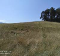 VALČA pozemok s výmerou 5800 m2,  okr. Martin  - Krajina so zelenými lúkami, stromami a modrou oblohou. Vhodné pre rekreačné pozemky.