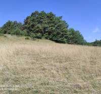 VALČA pozemok s výmerou 5800 m2,  okr. Martin  - Trávnatý svah s hustým lesom v pozadí, ideálne pre rekreačné pozemky.