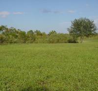 ŠÚTOVO, pozemok 6047m2,okr. MARTIN - Na obrázku je zelená lúka, stromy, obloha; ideálne miesto pre pozemky - bývanie.