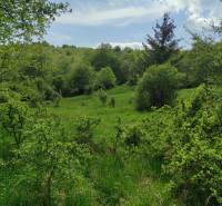 ŠÚTOVO, pozemok 6047m2,okr. MARTIN - Krásna lesnatá krajina s trávnatými plochami, vhodná pre pozemky na bývanie.