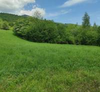 ŠÚTOVO, pozemok 6047m2,okr. MARTIN - Trávnaté pozemky na bývanie s lesom v pozadí a modrou oblohou.