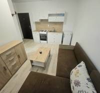 PRENÁJOM 1 IZBOVÝ BYT /24 M2/ SEVER/PIVNICA/ZARIADENÝ - Kuchynská časť 1-izbového bytu s podlahou s dreveným dekorom a pohovkou.