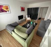 Slnečný 2i byt s balkónmi pri NC Nivy - Obývačka v 2-izbovom byte s pohovkou, televíziou a obrazmi na stenách.