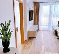 NADŠTANDARDNÝ 3-IZBOVÝ BYT NA PRENÁJOM | Byty Solivarská, Prešov - Interiér 3-izbového bytu s podlahou s dreveným dekorom, TV a závesmi.