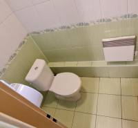 Predaj Domu (obchodného priestoru) v obci Lovča - Záchod v rodinnom dome s obkladmi a dlažbou v jemných farbách.