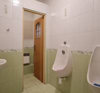 Predaj Domu (obchodného priestoru) v obci Lovča - Mužské toalety v rodinnom dome. Dlaždice v zeleno-bielej farebnej schéme.