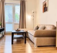 Prenájom 2 izbový byt Trenčín s vlastným parkovaním a terasou - Obývacia izba v 2-izbovom byte s pohovkou, podlahou s dreveným dekorom a televízorom.