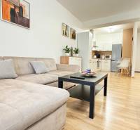 Prenájom 2 izbový byt Trenčín s vlastným parkovaním a terasou - Obývacia izba s pohovkou, podlahou s dreveným dekorom a kuchyňou v 2-izbovom byte.