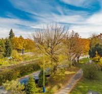 PRENÁJOM | 3i byt v centre Prešova | ZARIADENÝ - Jesenný deň na Pavlovičovom námestí v Prešove, sfarbené stromy a obytné domy.