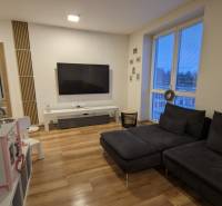 2-izbový byt na predaj, Vráble – sídl. Lúky, 56 m2 - Obývacia izba v 2-izbovom byte s tmavou sedačkou a podlahou s dreveným dekorom.