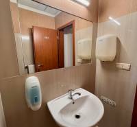 Prenájom kancelárskych priestorov 355 m2 ul. Stará Vajnorská - Kancelárie s umývadlom, zrkadlom a dávkovačom na mydlo.