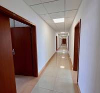 Prenájom kancelárskych priestorov 355 m2 ul. Stará Vajnorská - Kancelárie s dlhou chodbou a dverami po oboch stranách.