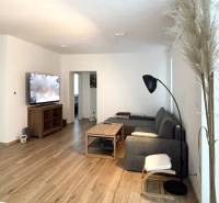 Moderný 3-izbový byt so záhradou Šamorín-Kráľovianky - Obývačka v 3-izbovom byte s podlahou s dreveným dekorom a sivou sedačkou.