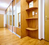 2-IZB. BYT, ČIASTOČNE ZARIADENÝ, TERASA , MOSTI PRI BRATISLAVE  - Predsieň v 2-izbovom byte s podlahou s dreveným dekorom a vstavanými skrinkami.