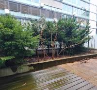 Luxusný 3-izb. byt s famóznym výhľadom na Dunaj, River Park - Terasa s rastlinami, podlaha s dreveným dekorom v Bratislave na Dvořákovom nábreží.