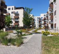 PREDAJ - 3 izbový byt blízko centra - Pivovarská ulica Nitra - Bytové domy na Pivovarskej ulici v Nitre, obklopené upravenou zeleňou a chodníkom.