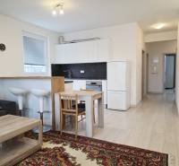 PREDAJ - 3 izbový byt blízko centra - Pivovarská ulica Nitra - Kuchyňa s obývačkou v 3-izbovom byte, podlaha s dreveným dekorom, svetlé vybavenie.