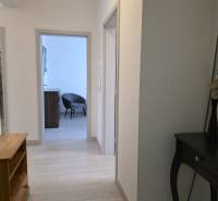 PREDAJ - 3 izbový byt blízko centra - Pivovarská ulica Nitra - Chodba v 3-izbovom byte s podlahou s dreveným dekorom a nábytkom.