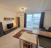 PREDAJ - 3 izbový byt blízko centra - Pivovarská ulica Nitra - Obývacia miestnosť v 3-izbovom byte s podlahou s dreveným dekorom a farebným kobercom.