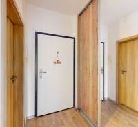 BA/PETRŽALKA-Prenájom moderného 3i bytu s parkovacím státim-Slnečnice - Vstupná hala 3-izbového bytu s podlahou s dreveným dekorom a vstavanou skriňou.