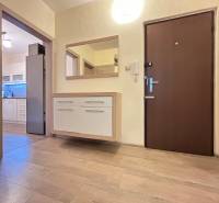 Prenájom- 2 izbovy byt- 49m2- Dadanova- Hájik  - Chodba 2-izbového bytu s podlahou s dreveným dekorom a pohľadom do kuchyne.