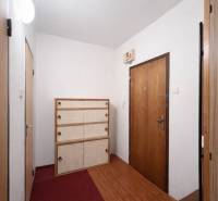 NA PREDAJ 1-IZBOVÝ BYT V PÔVODNOM STAVE – DÚBRAVKA, SARATOVSKÁ ULICA - Chodba v 1-izbovom byte s botníkom, červeným kobercom a podlahou s dreveným dekorom.